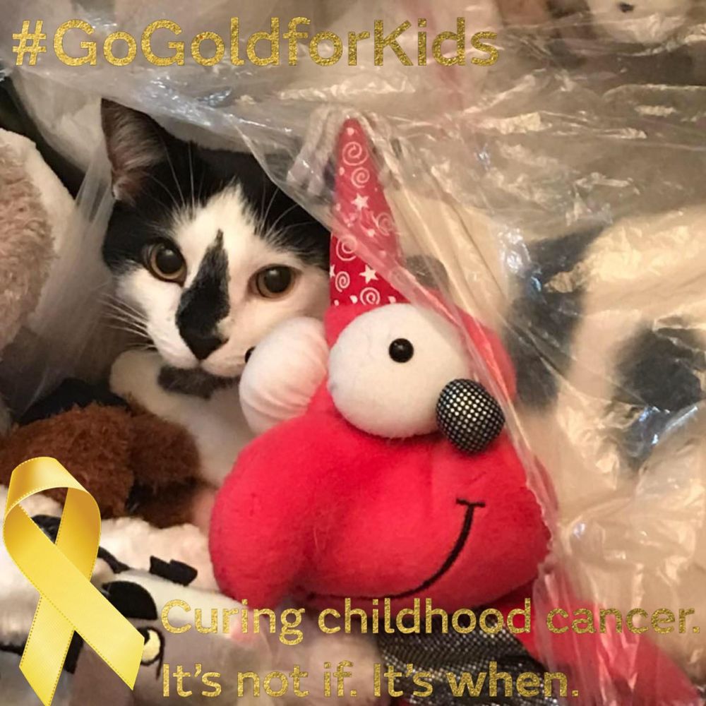 Meet your Posher, Mary